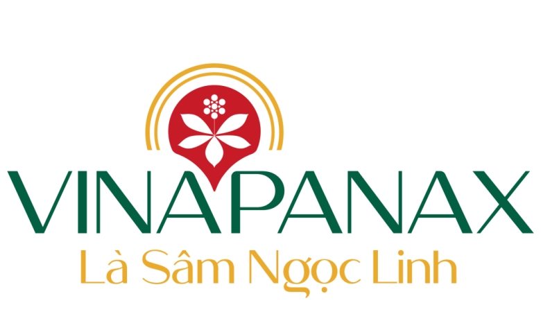 Thương hiệu Vinapanax – là sâm Ngọc Linh