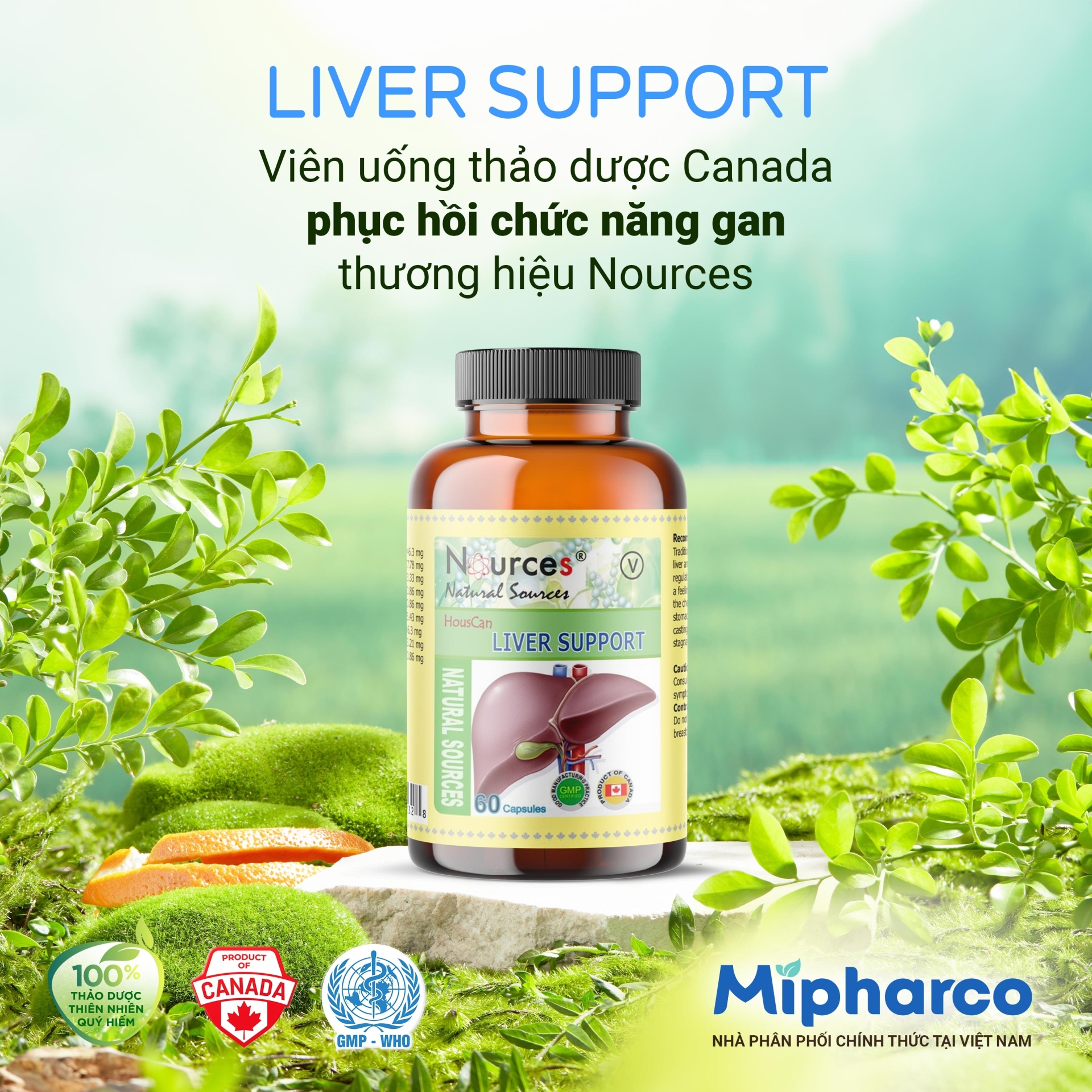 Viên uống tăng cường chức năng gan Liver Suppor