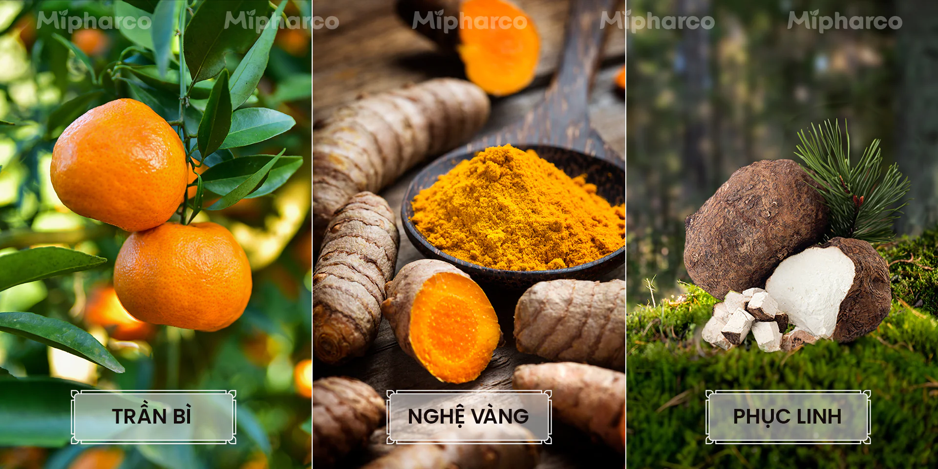 Sản phẩm Sản phẩm