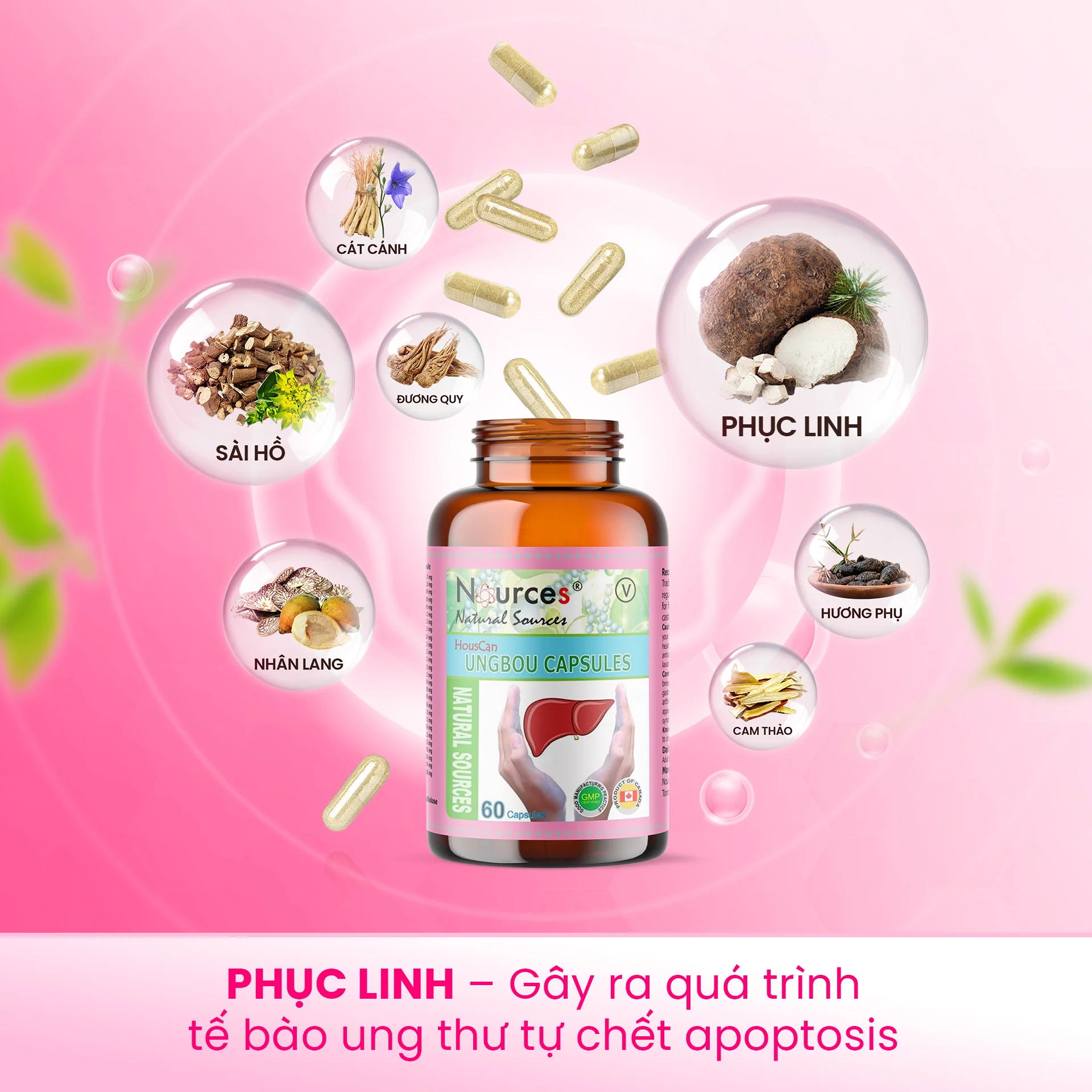 Sản phẩm Sản phẩm