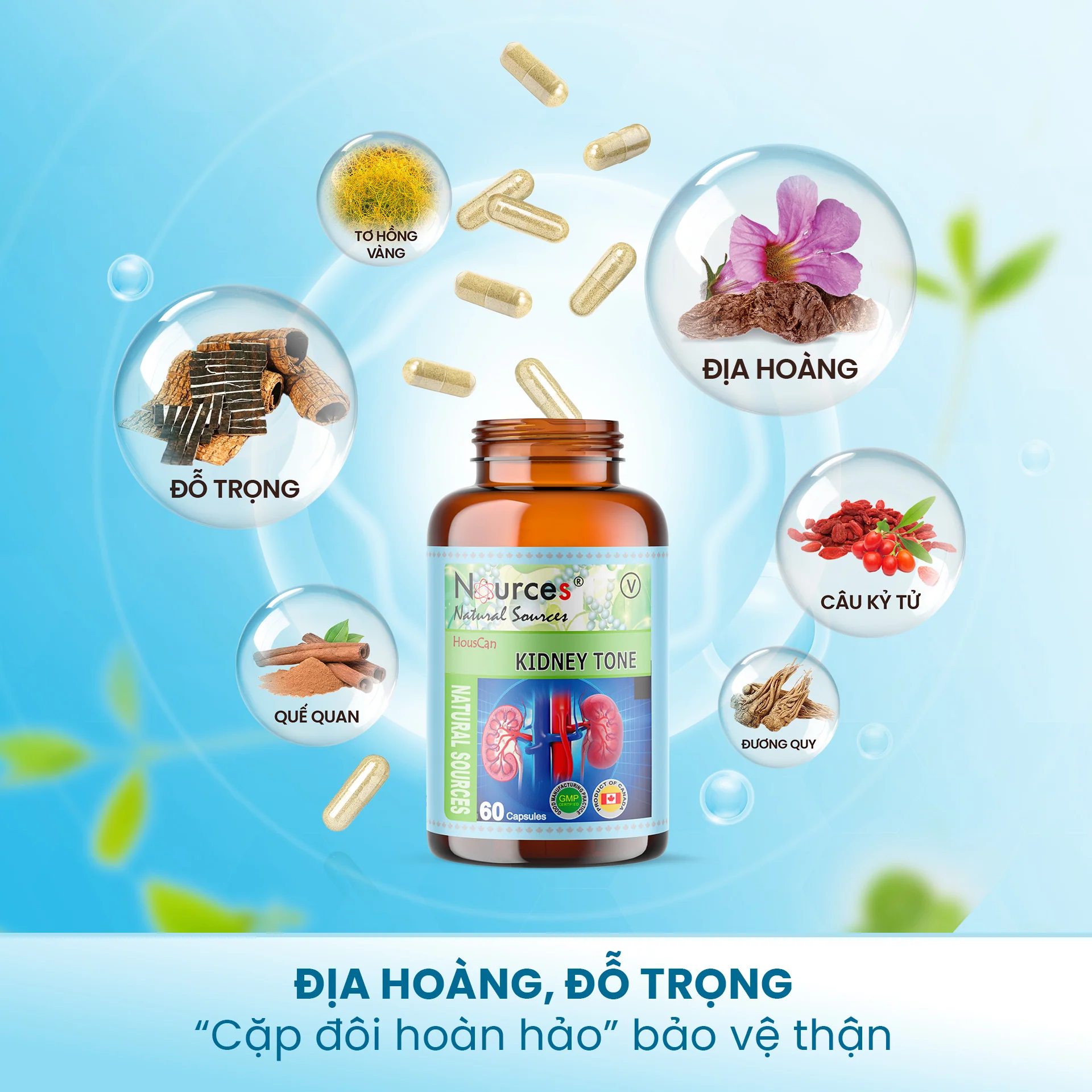 Sản phẩm Sản phẩm