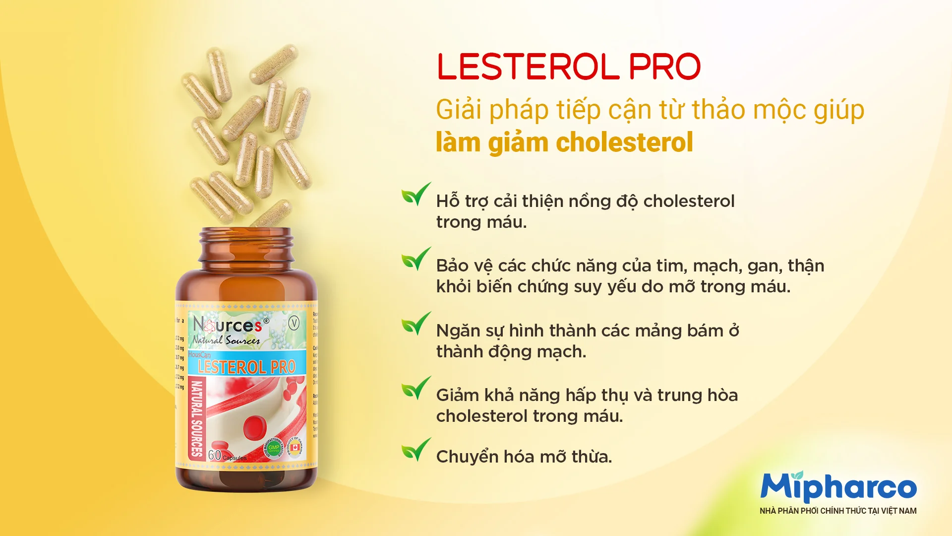 Sản phẩm Sản phẩm