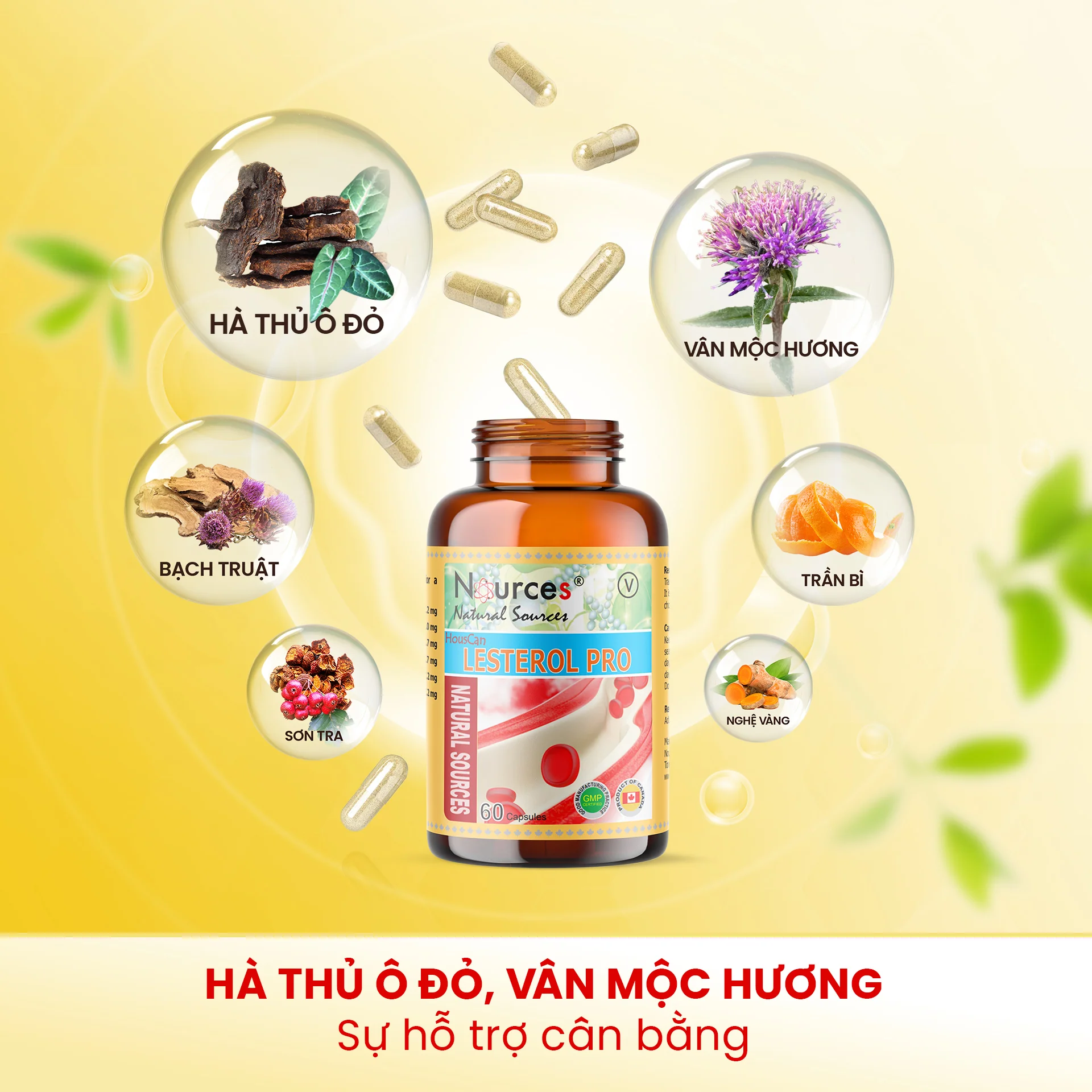 Sản phẩm Sản phẩm