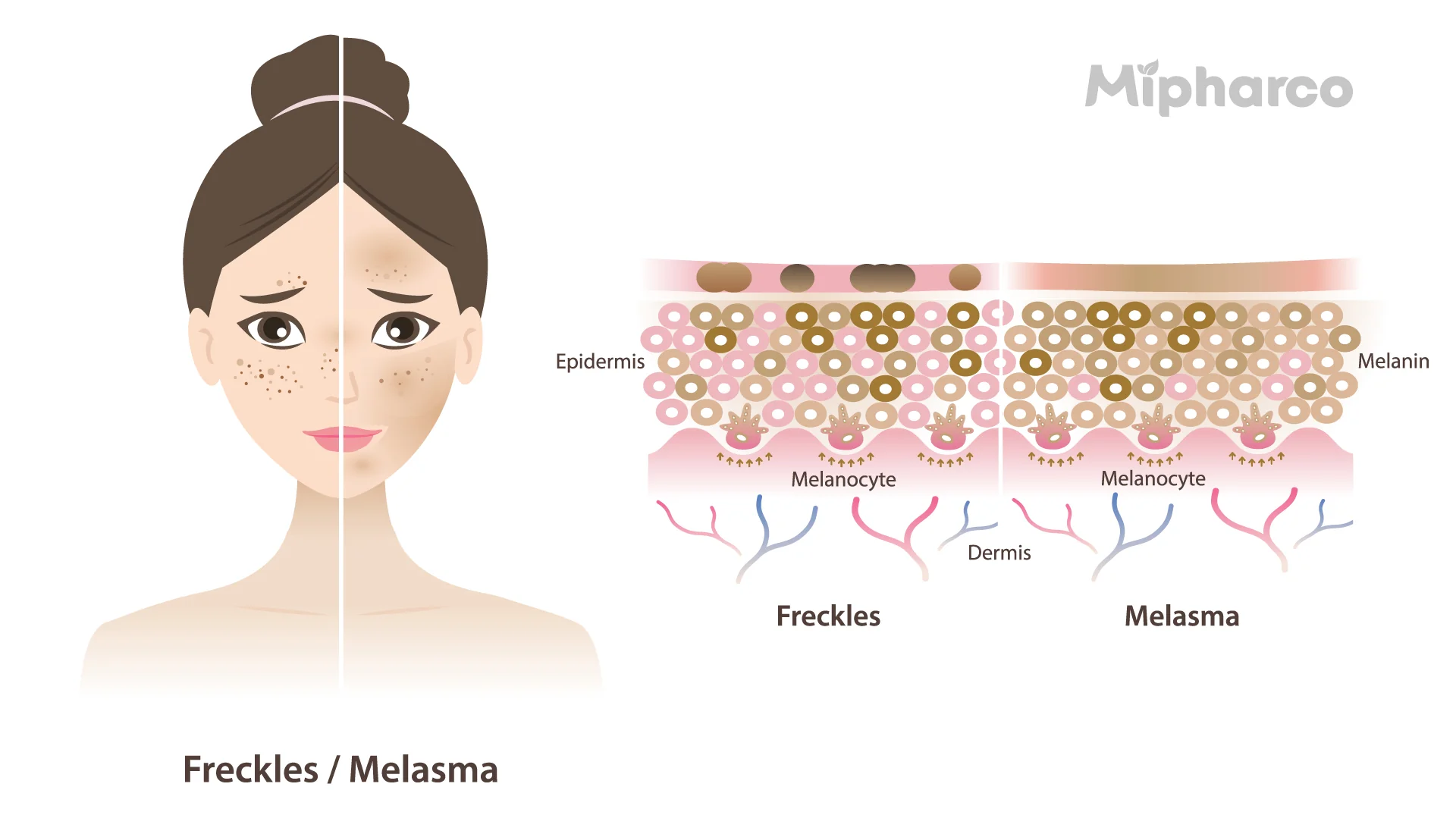Sản phẩm Sản phẩm