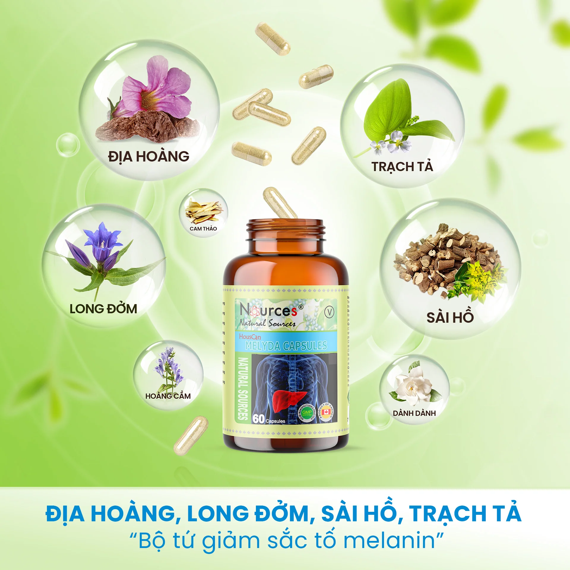 Sản phẩm Sản phẩm