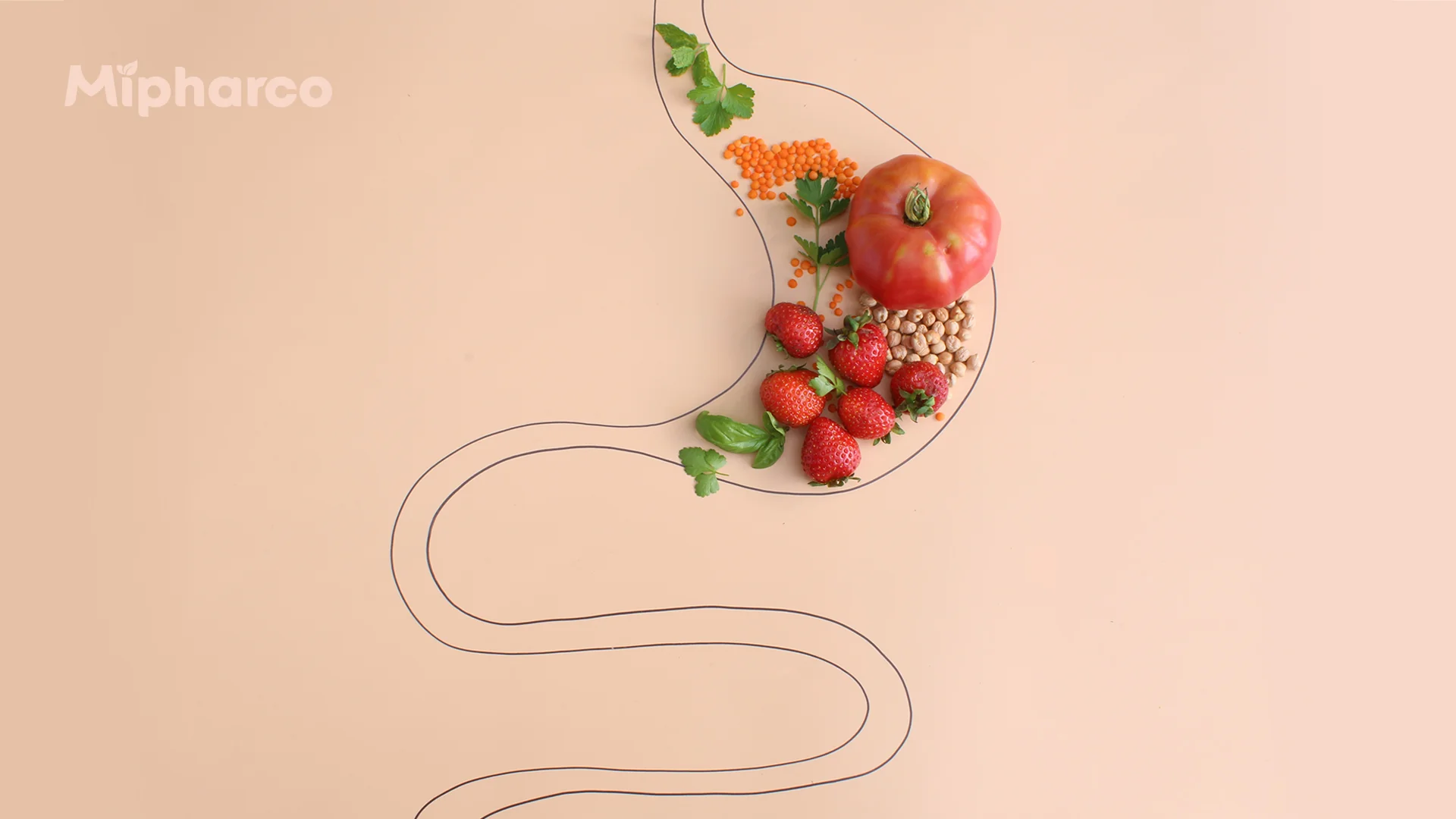 Sản phẩm Sản phẩm