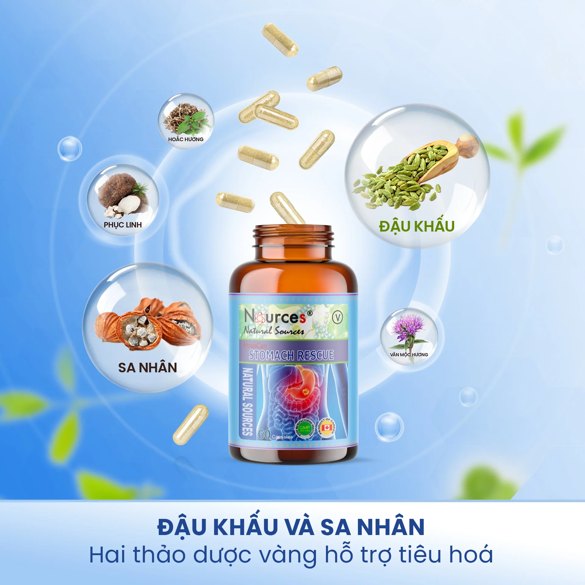 Sản phẩm Sản phẩm